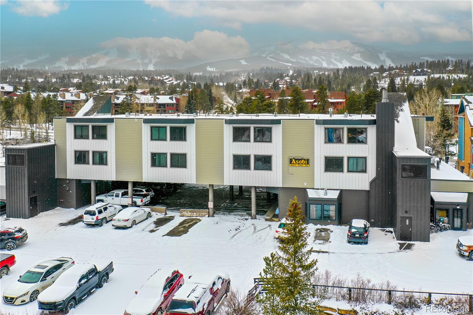 MLS Image #22 for 110 s park avenue,breckenridge, Colorado