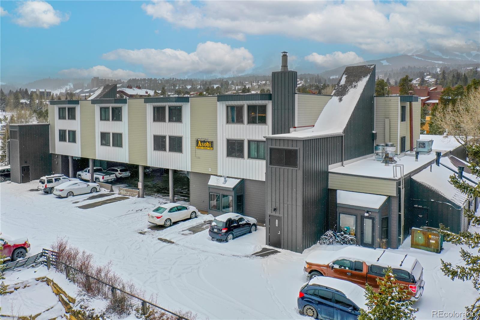 MLS Image #23 for 110 s park avenue,breckenridge, Colorado