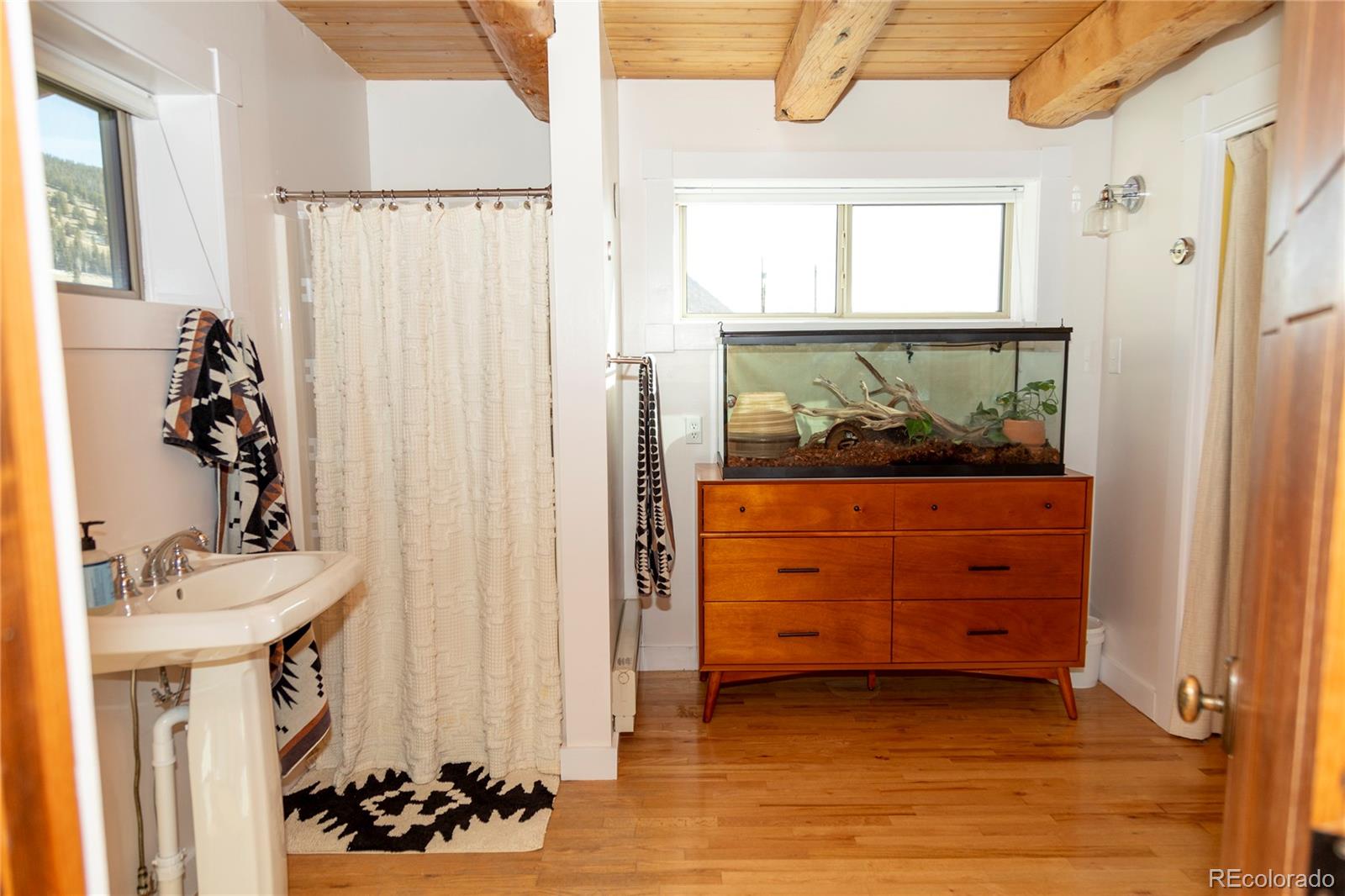 MLS Image #20 for 148  rio grande drive,creede, Colorado
