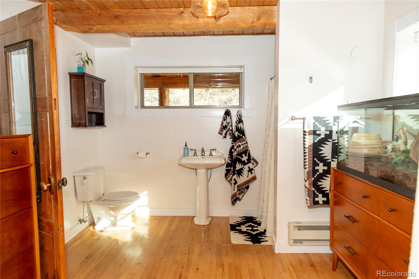 MLS Image #21 for 148  rio grande drive,creede, Colorado