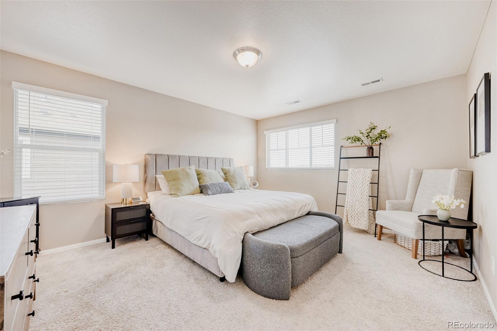 MLS Image #17 for 11654  park south lane,parker, Colorado