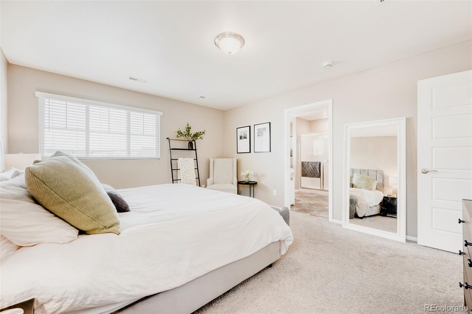 MLS Image #18 for 11654  park south lane,parker, Colorado