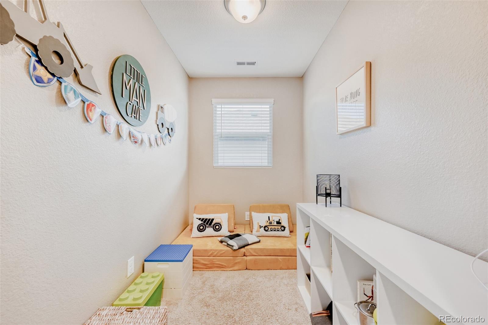 MLS Image #21 for 11654  park south lane,parker, Colorado