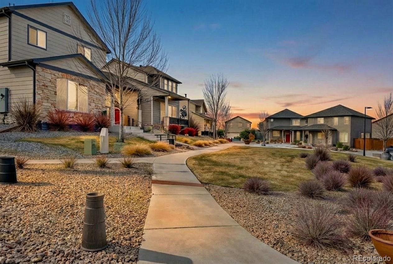 MLS Image #6 for 11654  park south lane,parker, Colorado