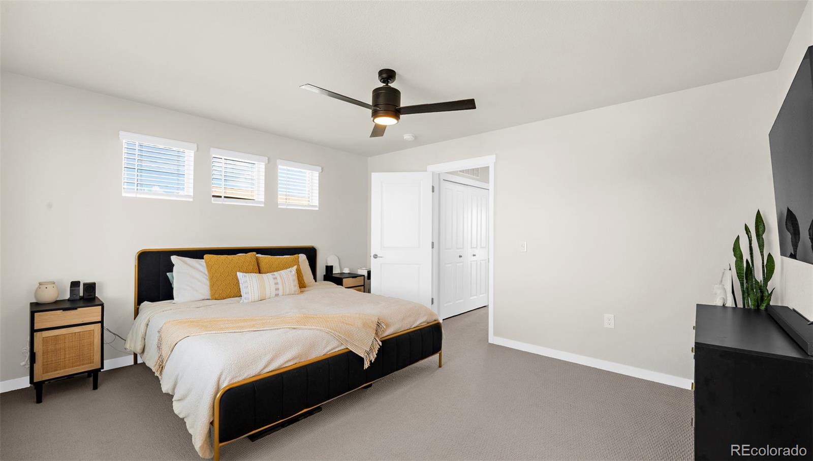MLS Image #21 for 3612  greenways main boulevard,colorado springs, Colorado