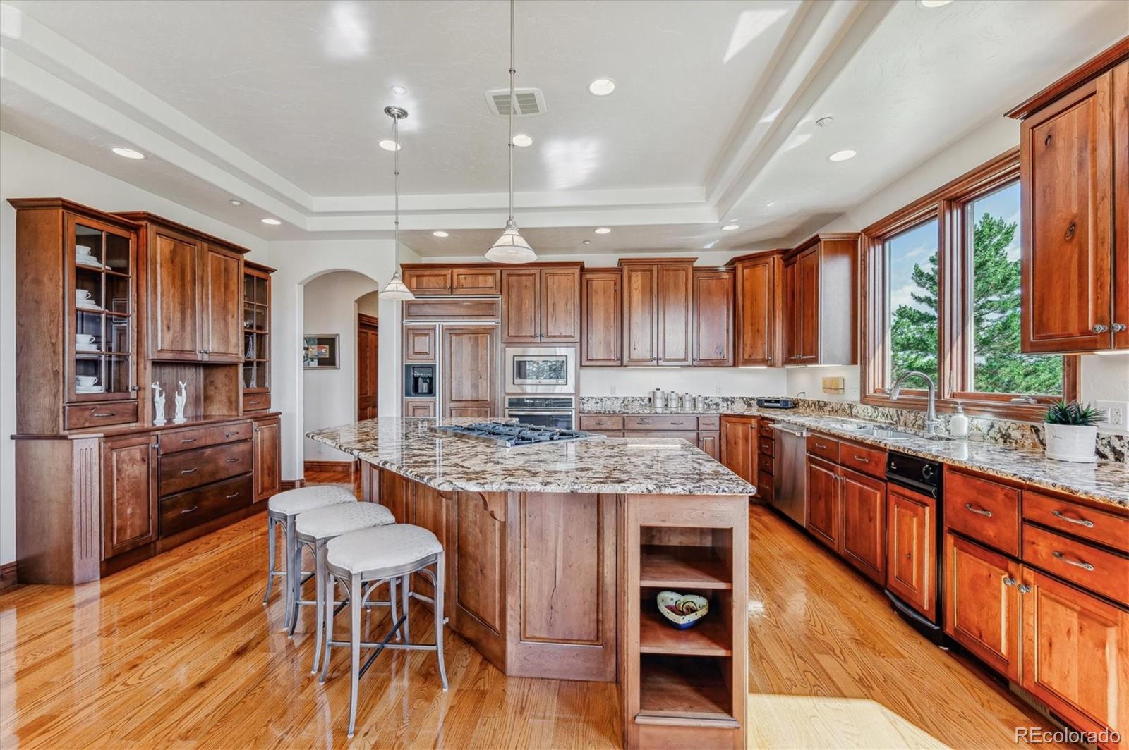 MLS Image #11 for 9560  bear claw drive,littleton, Colorado