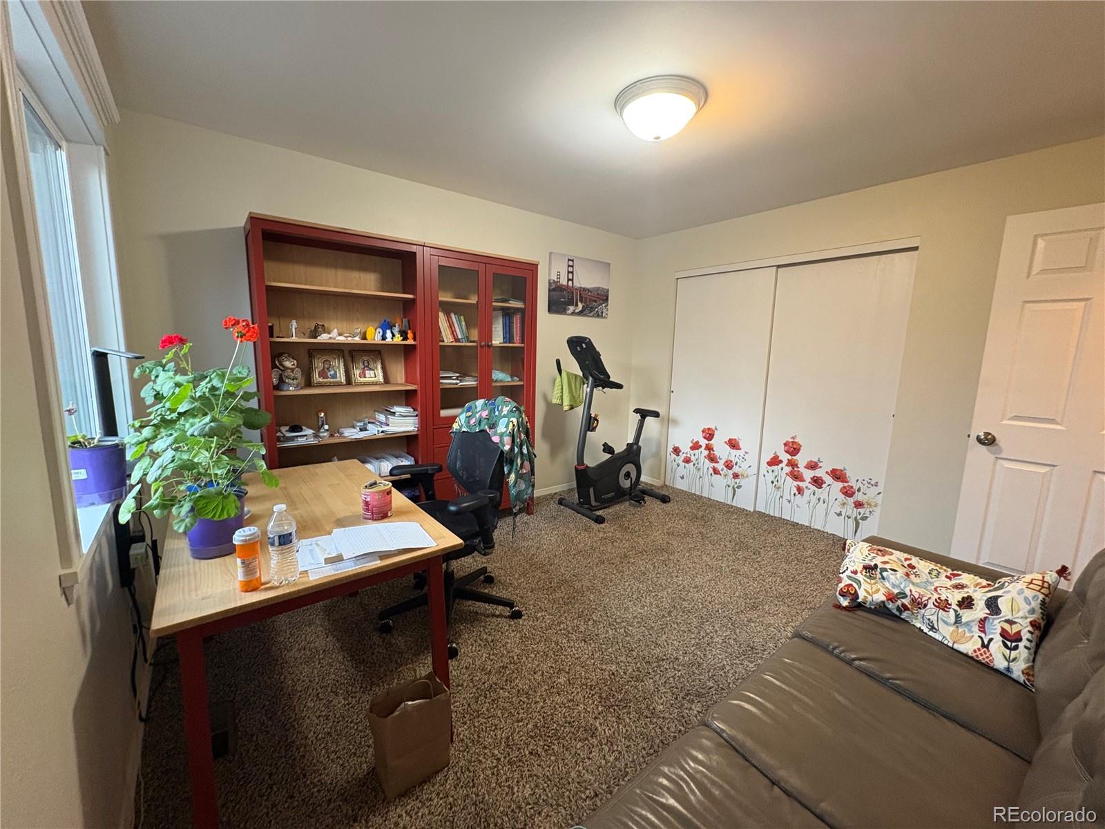 MLS Image #10 for 3953  buena vista drive,loveland, Colorado