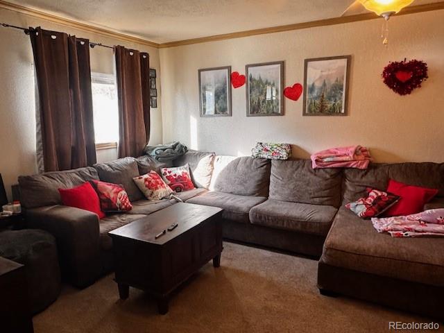 MLS Image #5 for 1402  clemson drive,colorado springs, Colorado