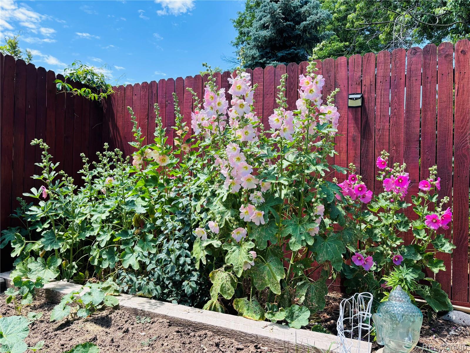 MLS Image #38 for 4301 s alton place,greenwood village, Colorado