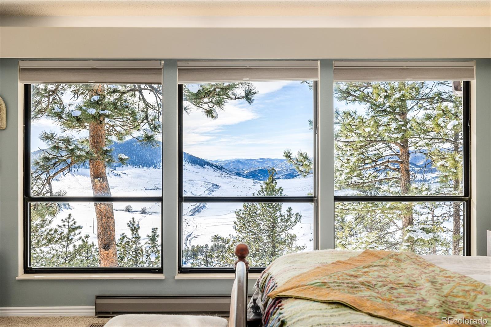 MLS Image #21 for 834  green mountain drive,loveland, Colorado
