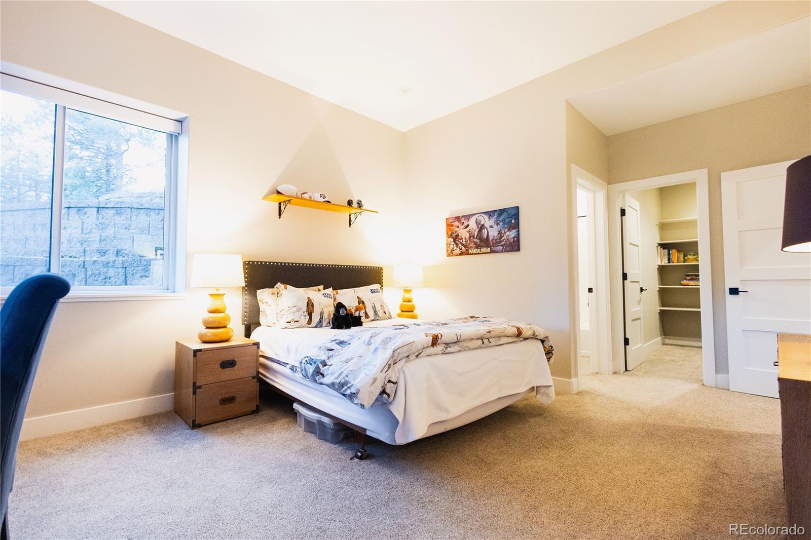 MLS Image #28 for 4760  hidden rck road,colorado springs, Colorado