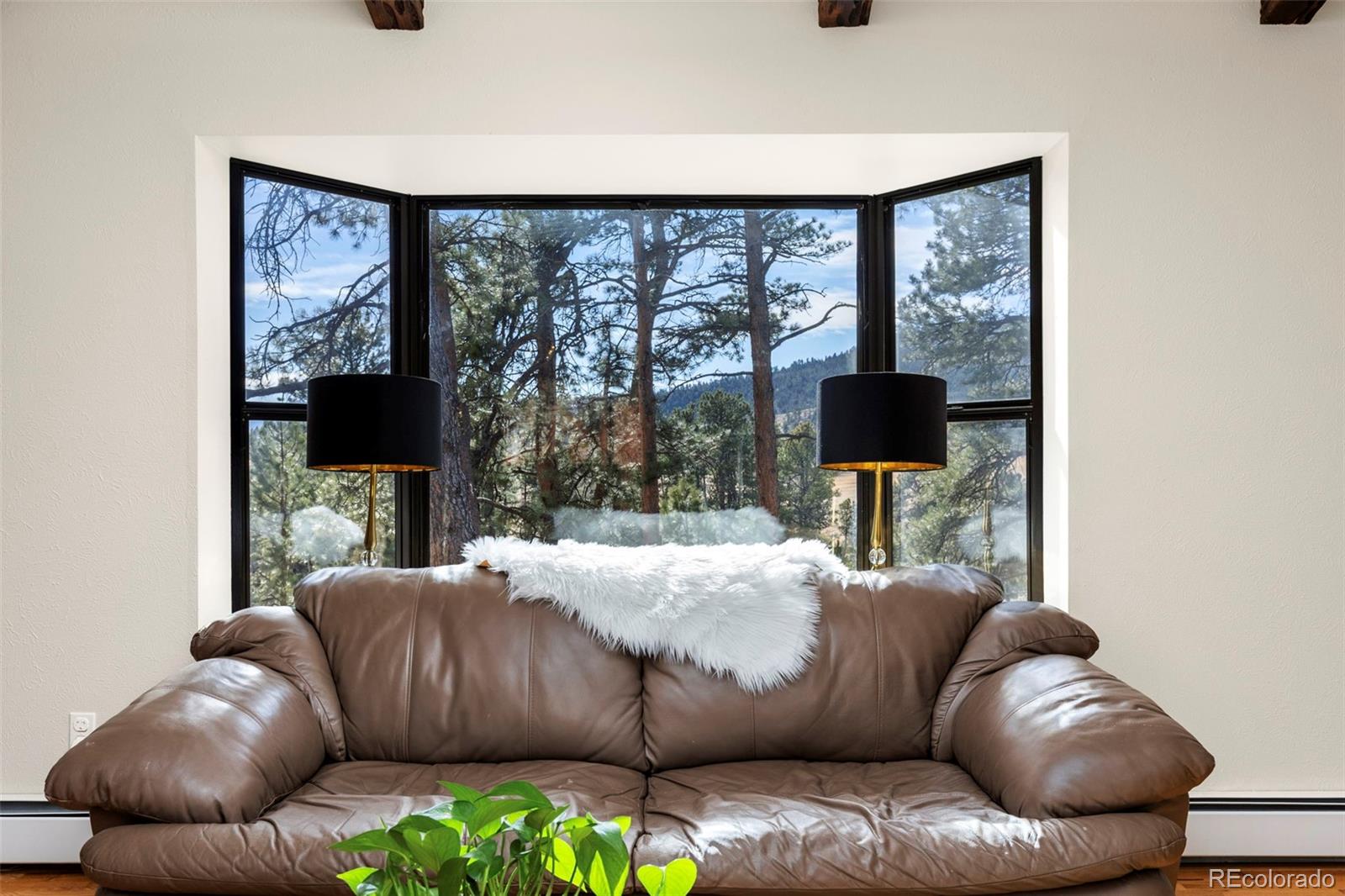MLS Image #5 for 2394  el dorado lane,evergreen, Colorado