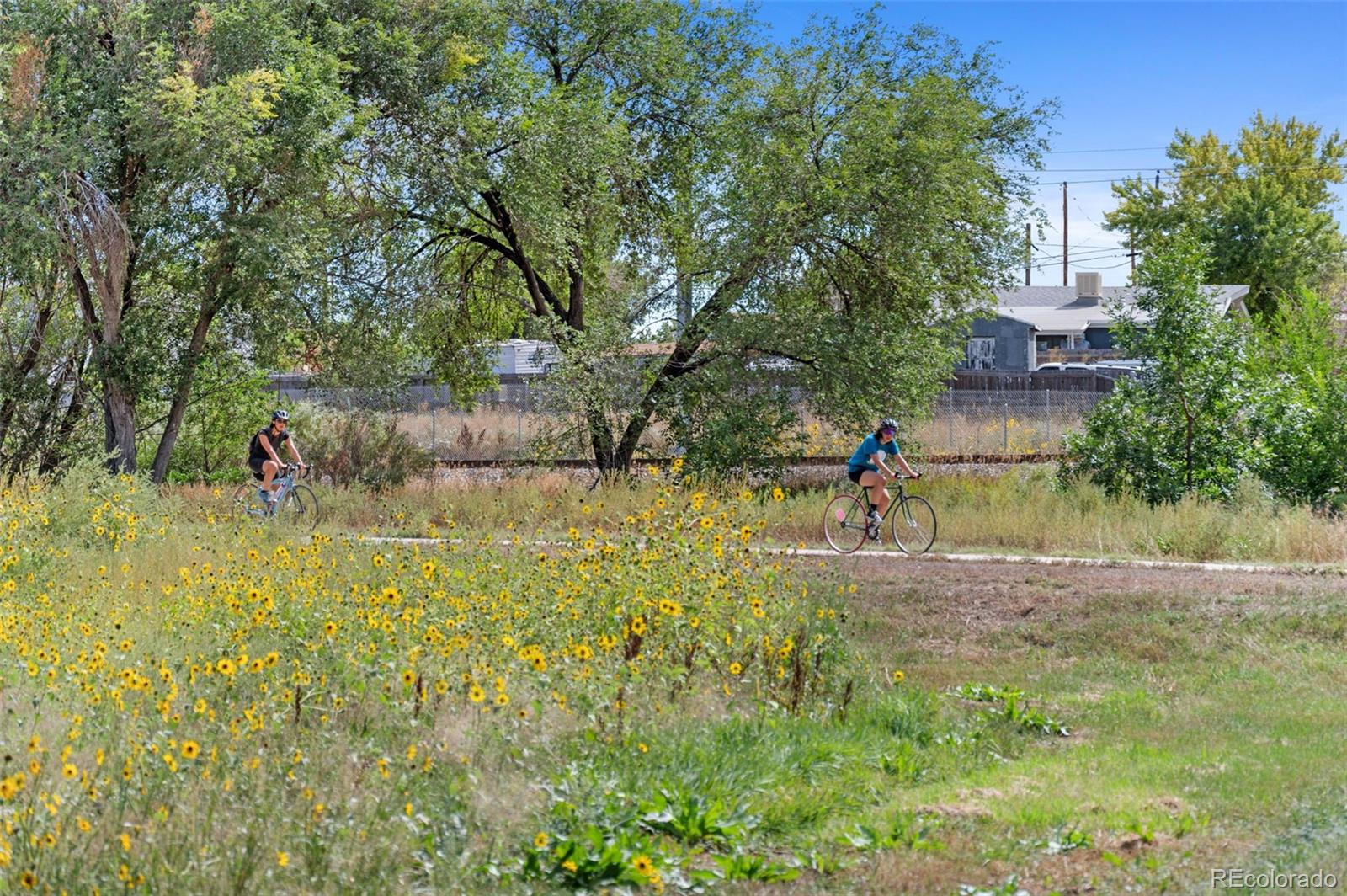 MLS Image #33 for 6817  clay street,denver, Colorado