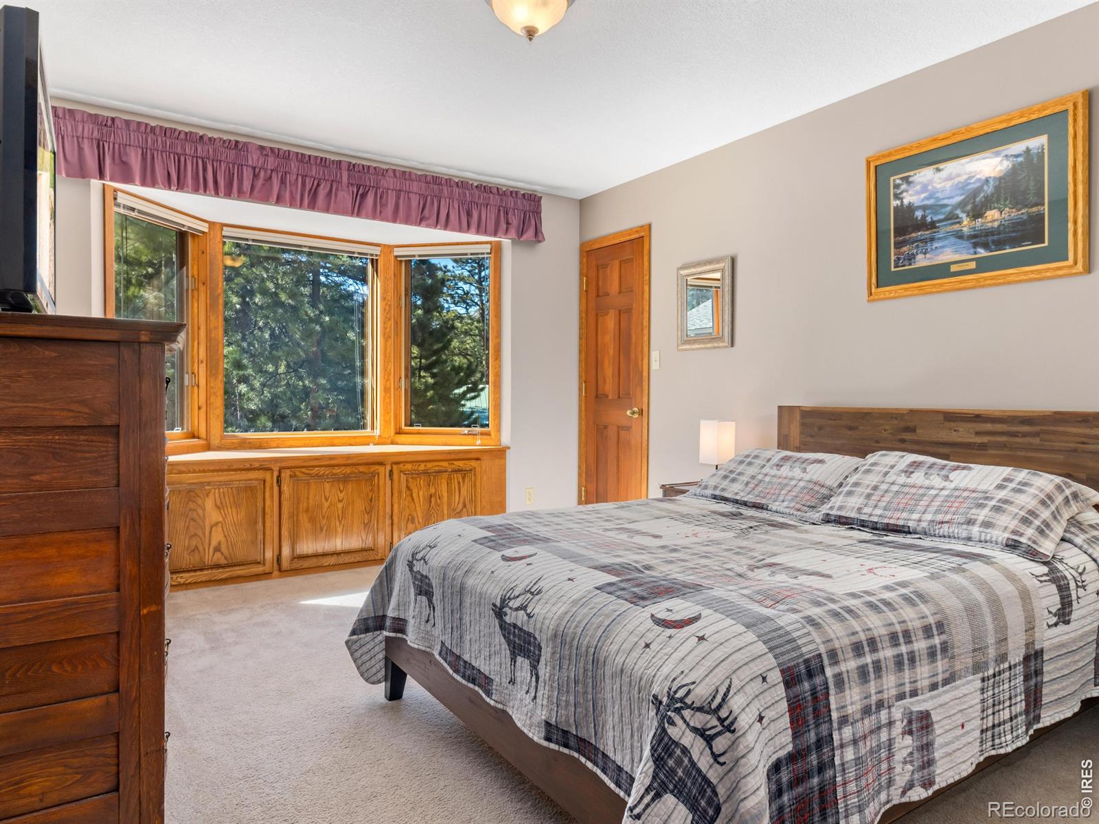 MLS Image #21 for 3807  dollar lake drive,estes park, Colorado