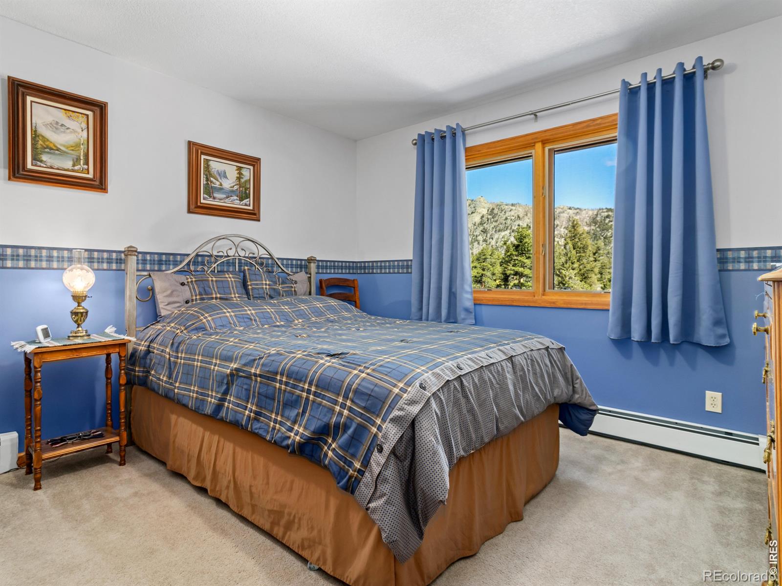 MLS Image #24 for 3807  dollar lake drive,estes park, Colorado