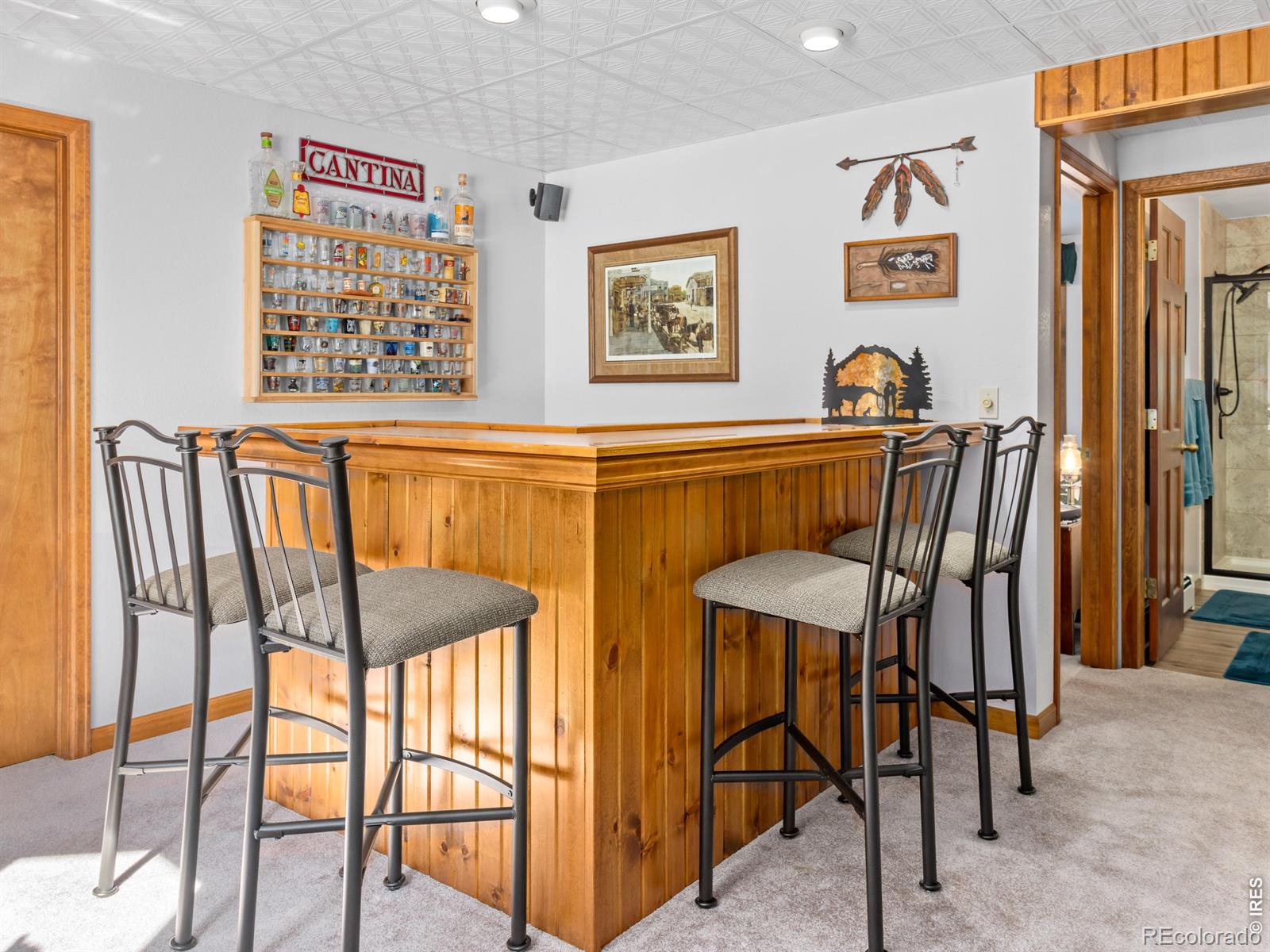 MLS Image #28 for 3807  dollar lake drive,estes park, Colorado