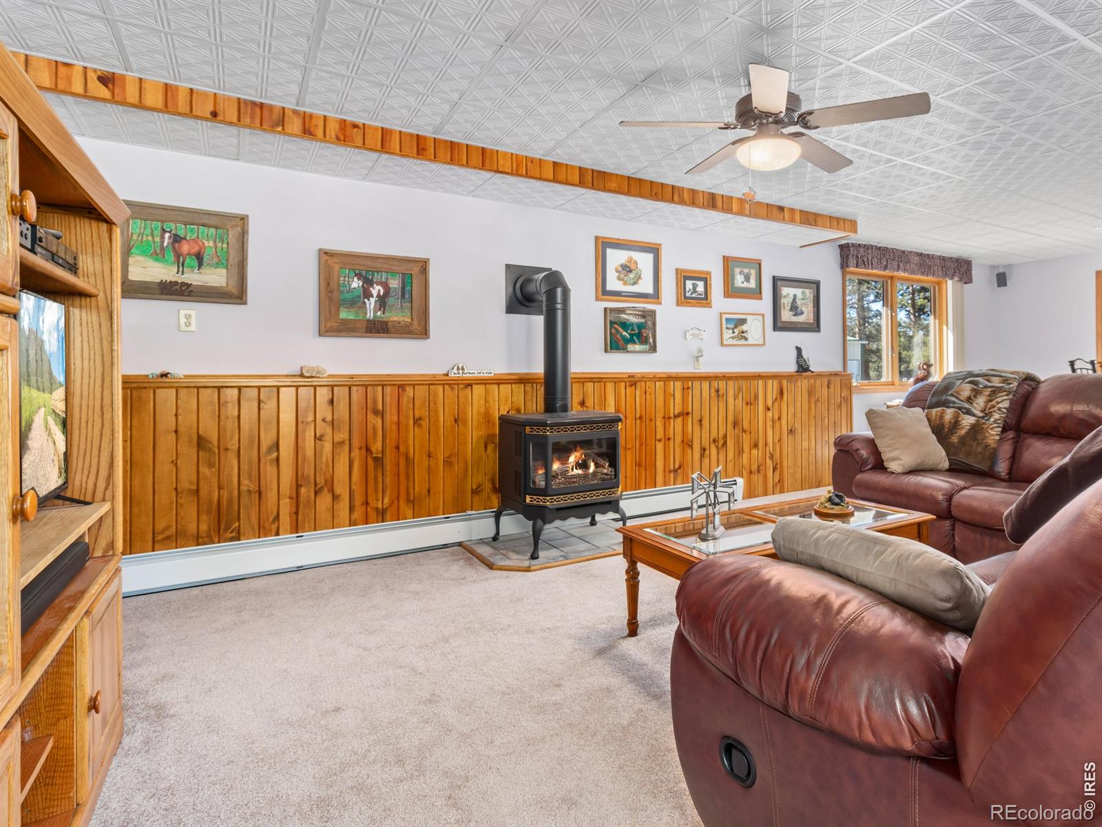 MLS Image #30 for 3807  dollar lake drive,estes park, Colorado