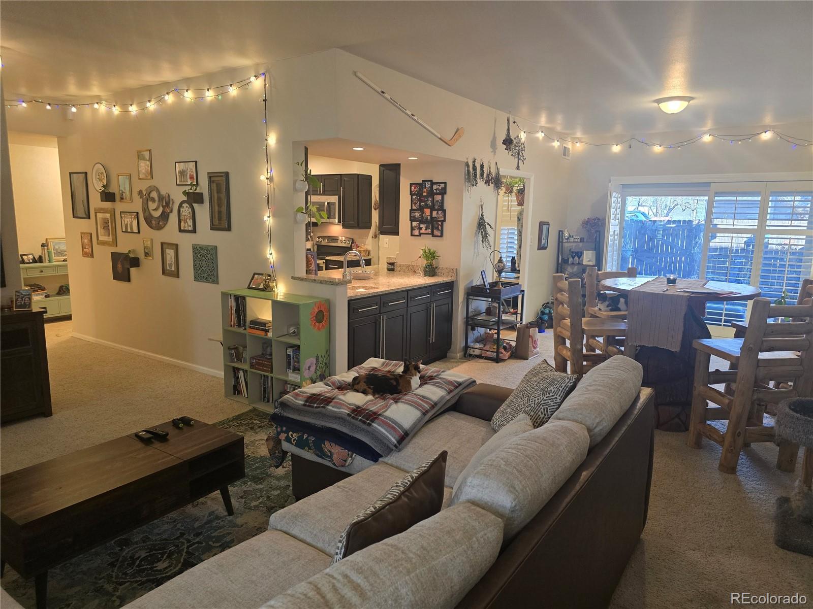 MLS Image #9 for 4250 s olive street,denver, Colorado
