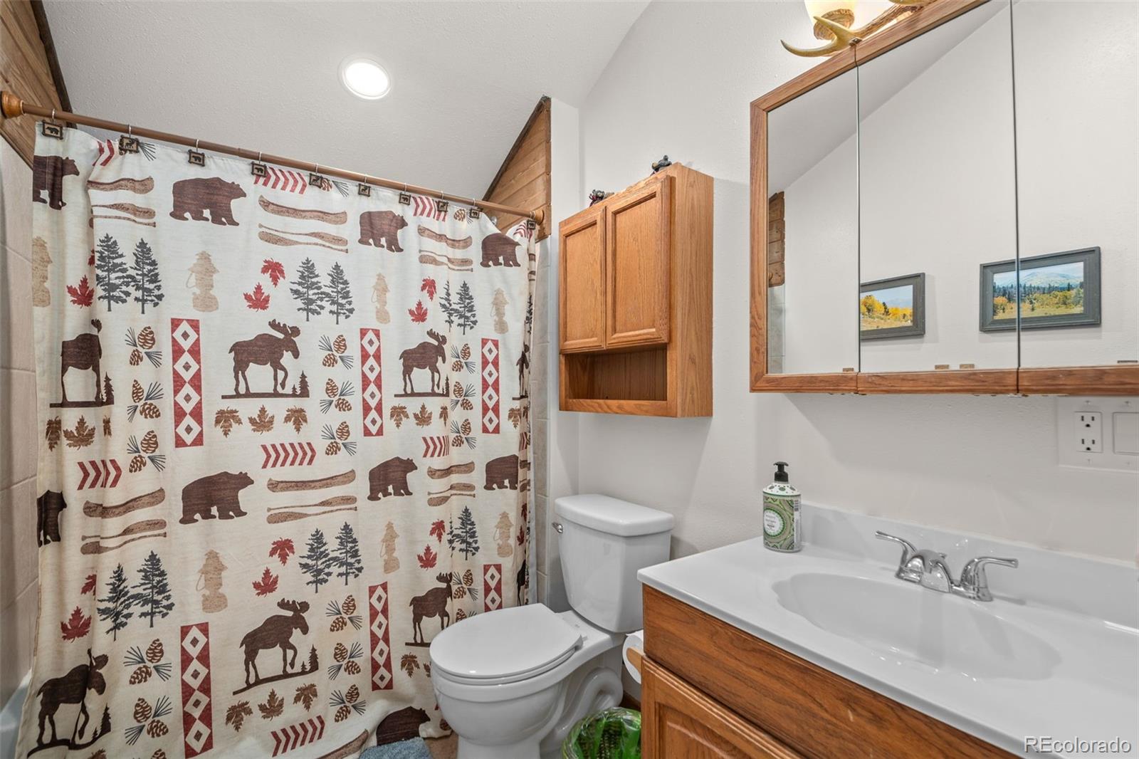 MLS Image #11 for 838  silver creek road,idaho springs, Colorado