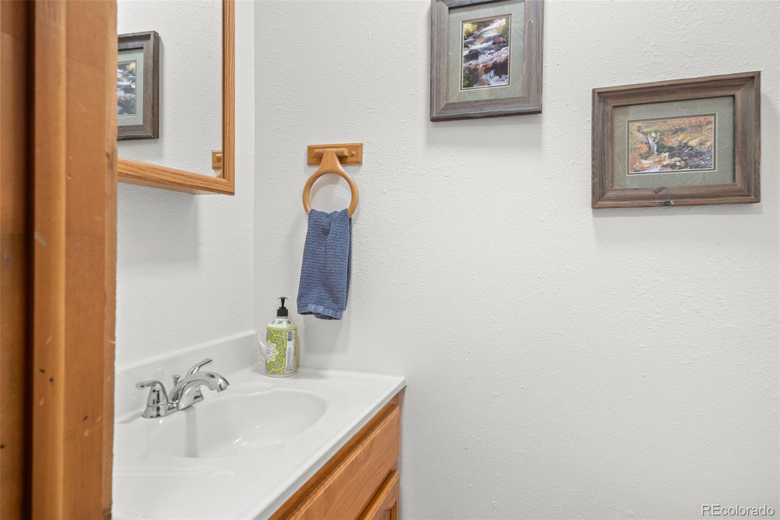 MLS Image #12 for 838  silver creek road,idaho springs, Colorado