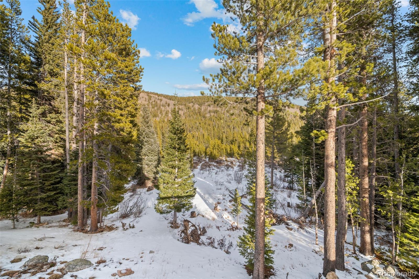 MLS Image #16 for 838  silver creek road,idaho springs, Colorado