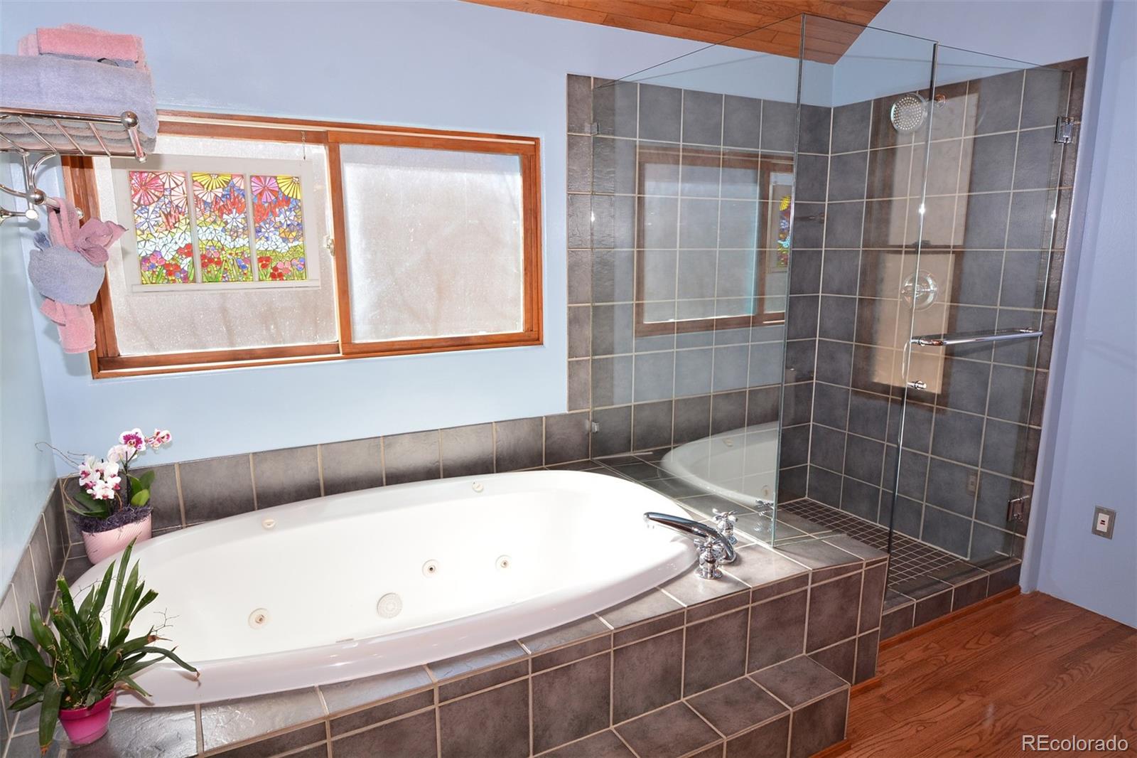 MLS Image #13 for 7630  delmonico drive,colorado springs, Colorado