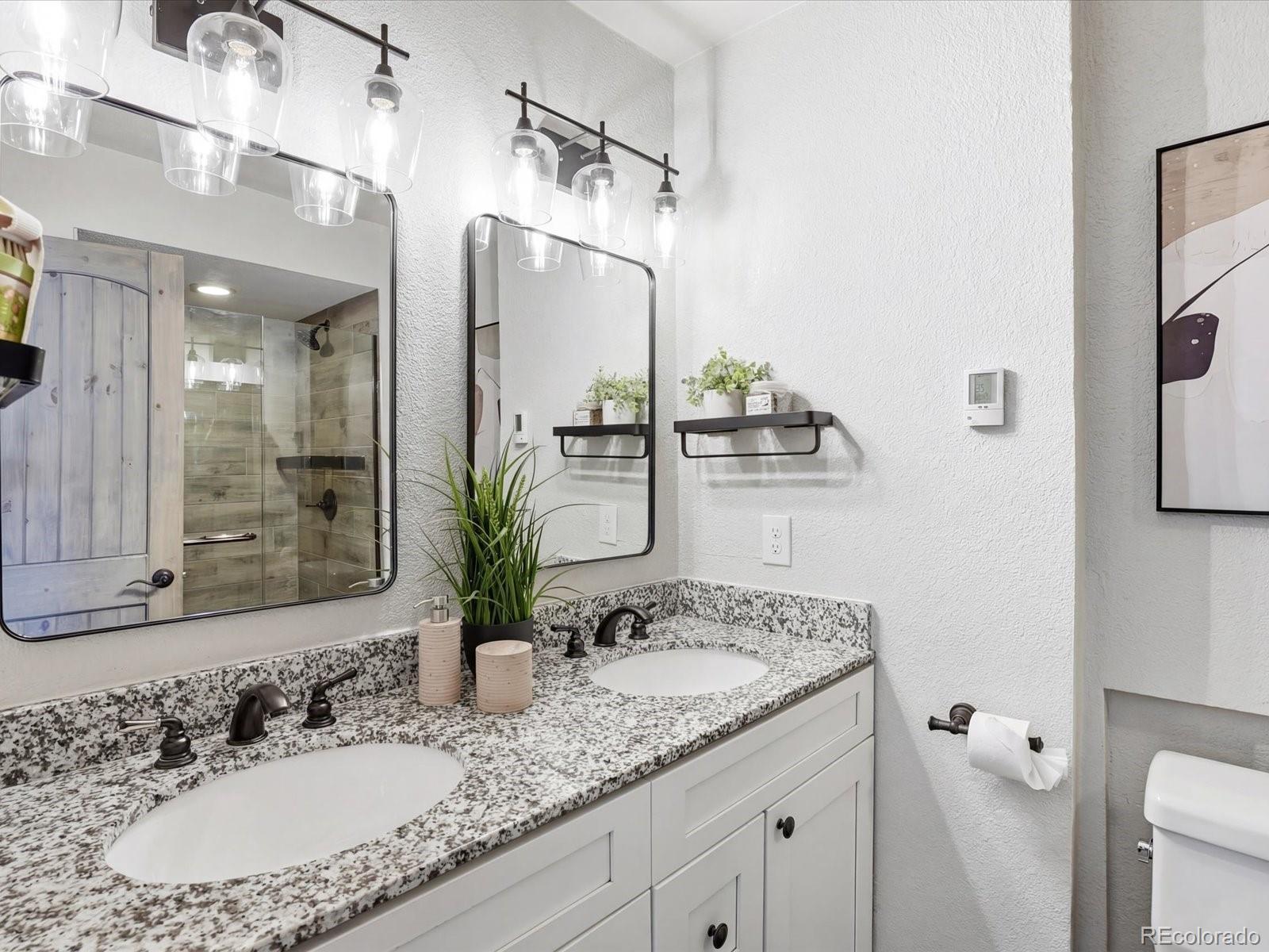 MLS Image #29 for 4221  zuni street,denver, Colorado