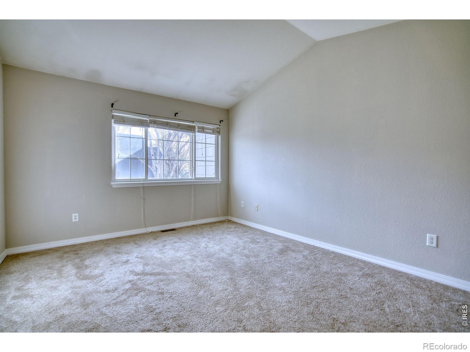 MLS Image #15 for 5551  cornerstone drive,fort collins, Colorado