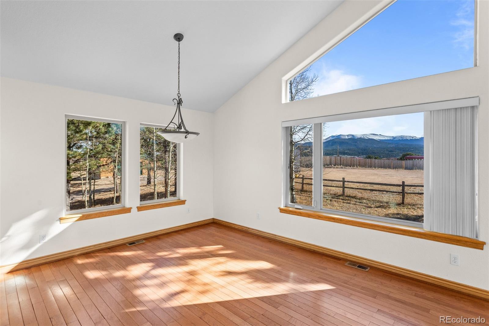MLS Image #13 for 162  ridge top drive,divide, Colorado