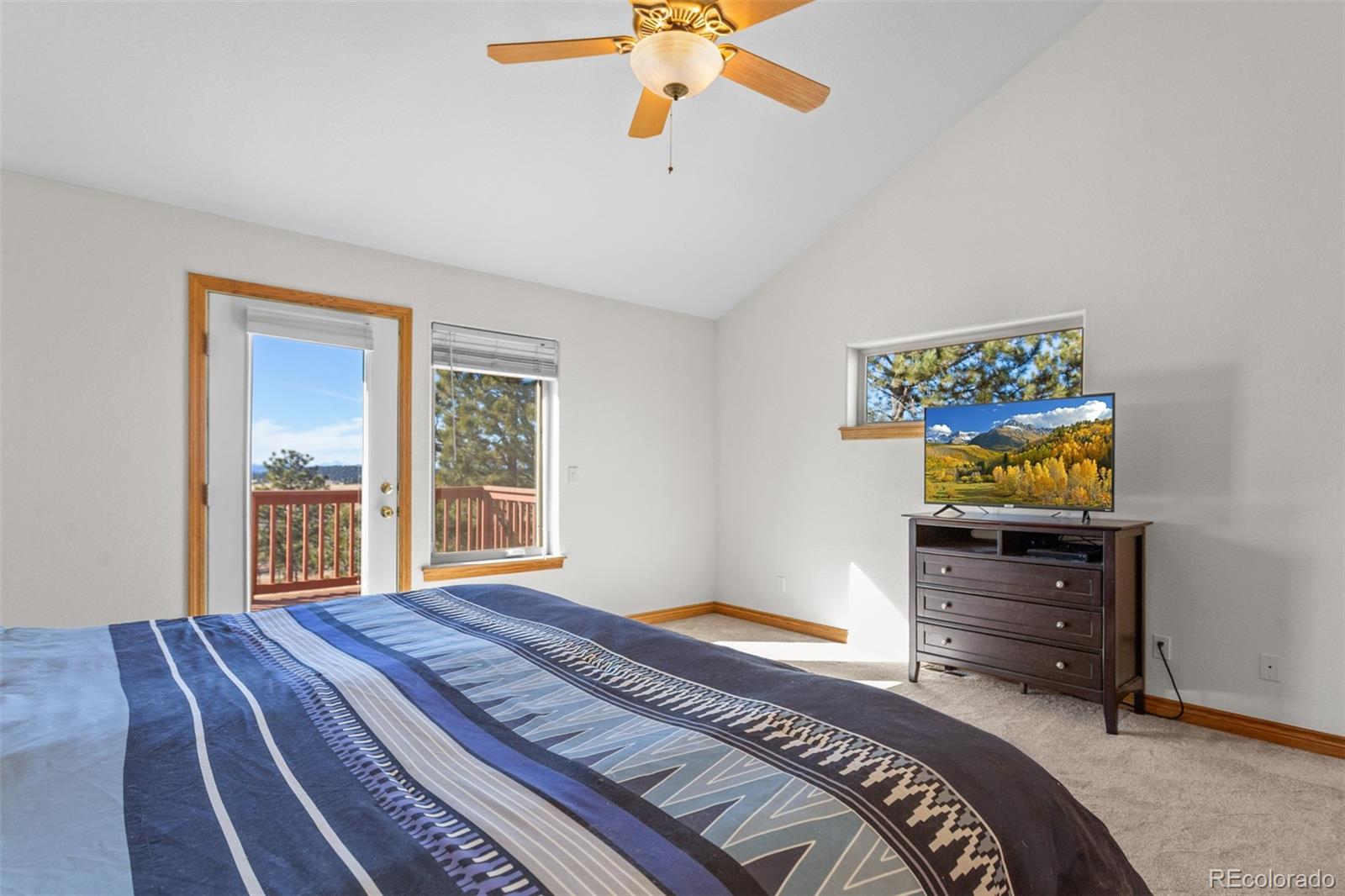 MLS Image #16 for 162  ridge top drive,divide, Colorado