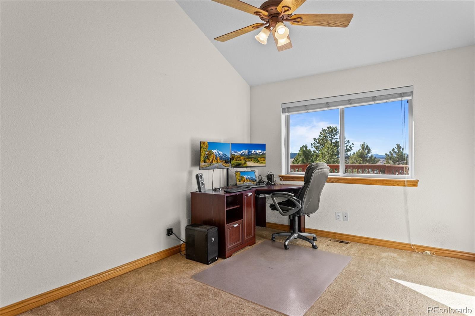 MLS Image #19 for 162  ridge top drive,divide, Colorado