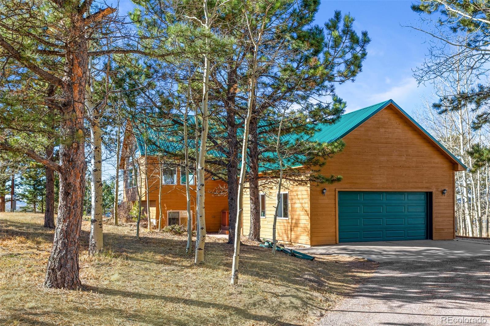 MLS Image #2 for 162  ridge top drive,divide, Colorado