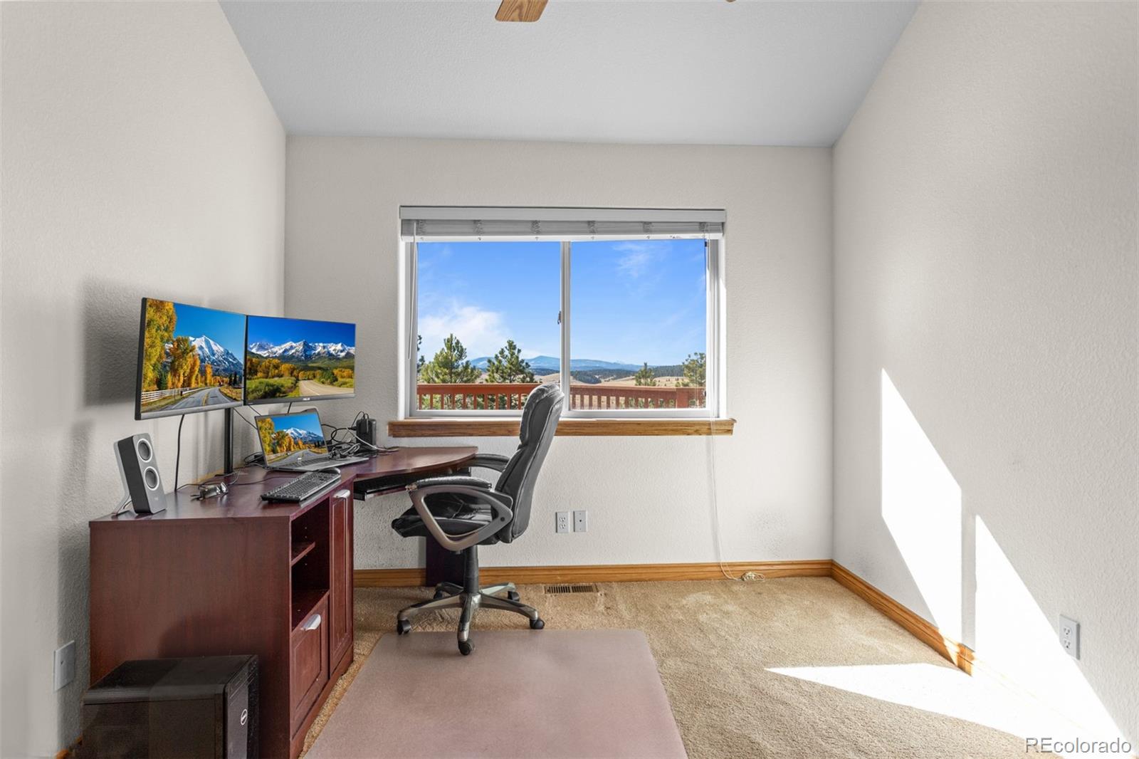 MLS Image #20 for 162  ridge top drive,divide, Colorado