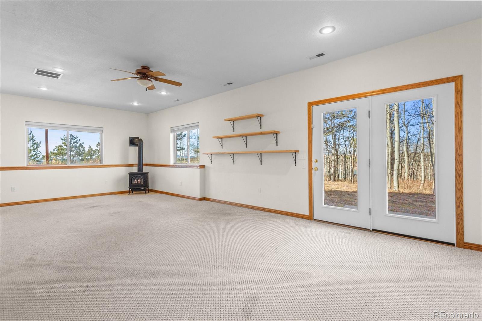 MLS Image #22 for 162  ridge top drive,divide, Colorado