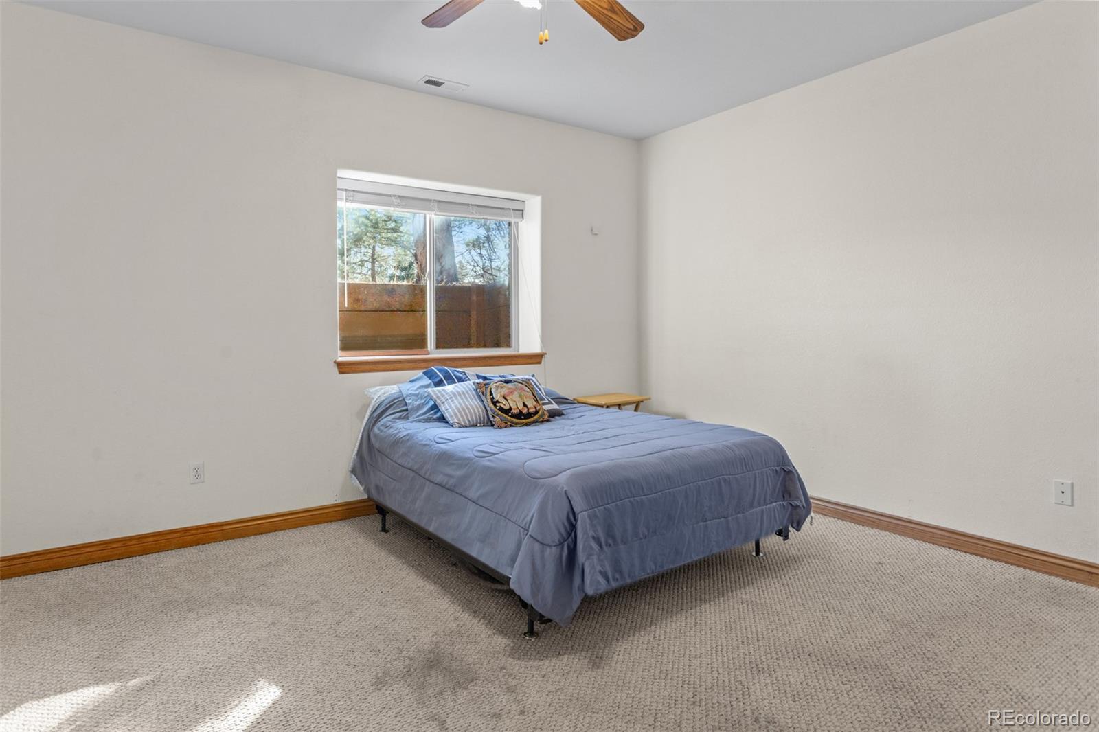 MLS Image #25 for 162  ridge top drive,divide, Colorado