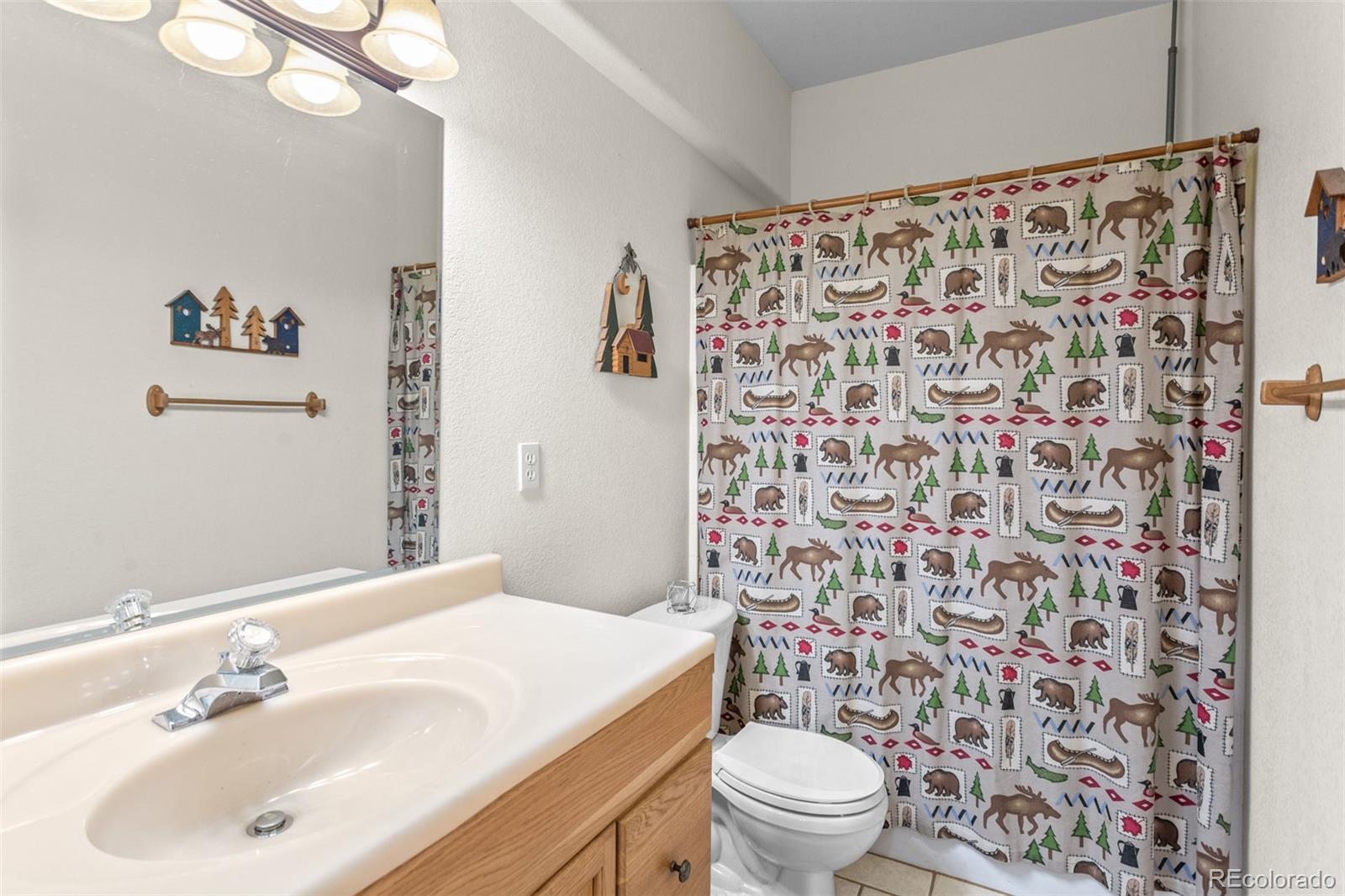 MLS Image #26 for 162  ridge top drive,divide, Colorado
