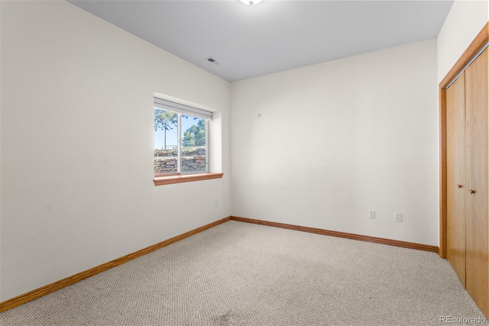 MLS Image #27 for 162  ridge top drive,divide, Colorado