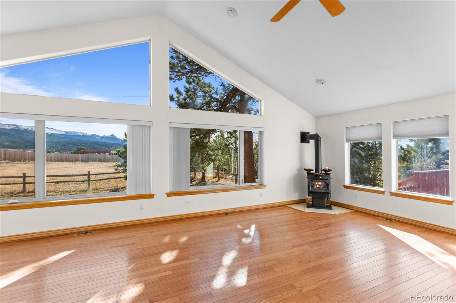 MLS Image #5 for 162  ridge top drive,divide, Colorado