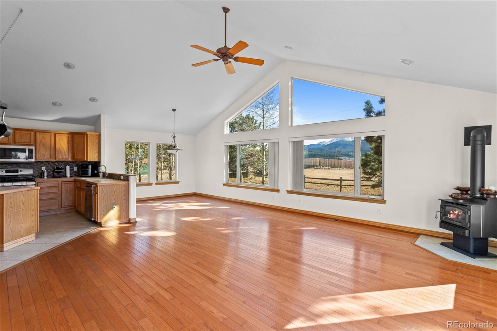 MLS Image #7 for 162  ridge top drive,divide, Colorado