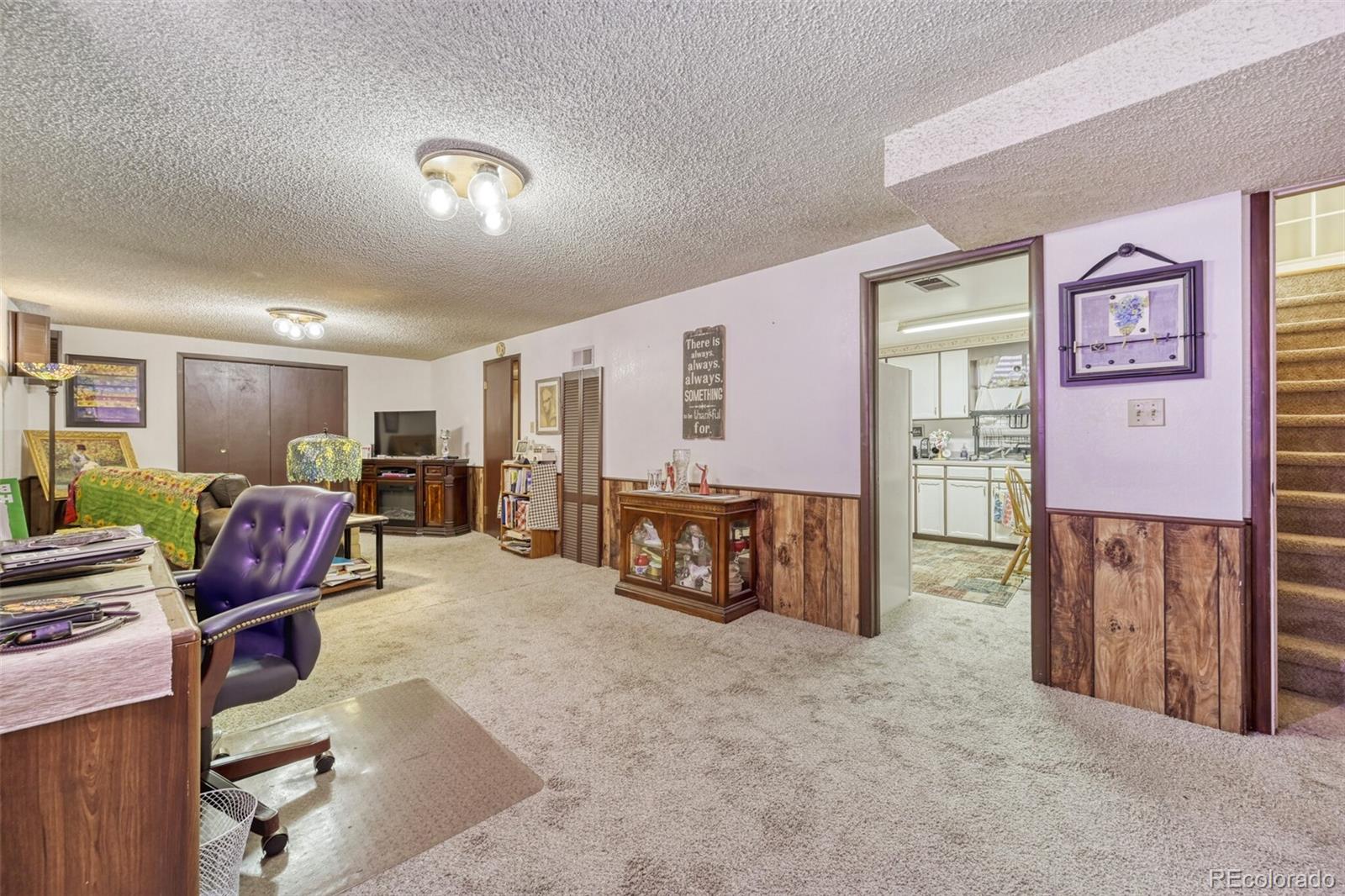 MLS Image #16 for 10220  carmody lane,lakewood, Colorado
