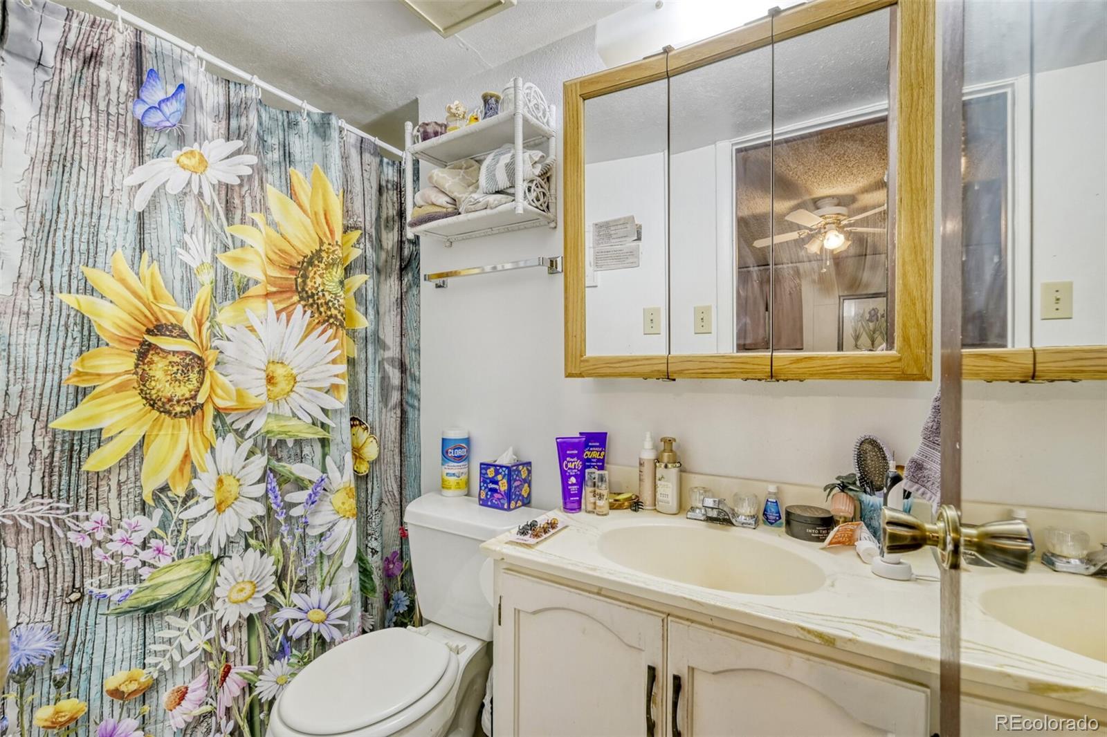 MLS Image #21 for 10220  carmody lane,lakewood, Colorado