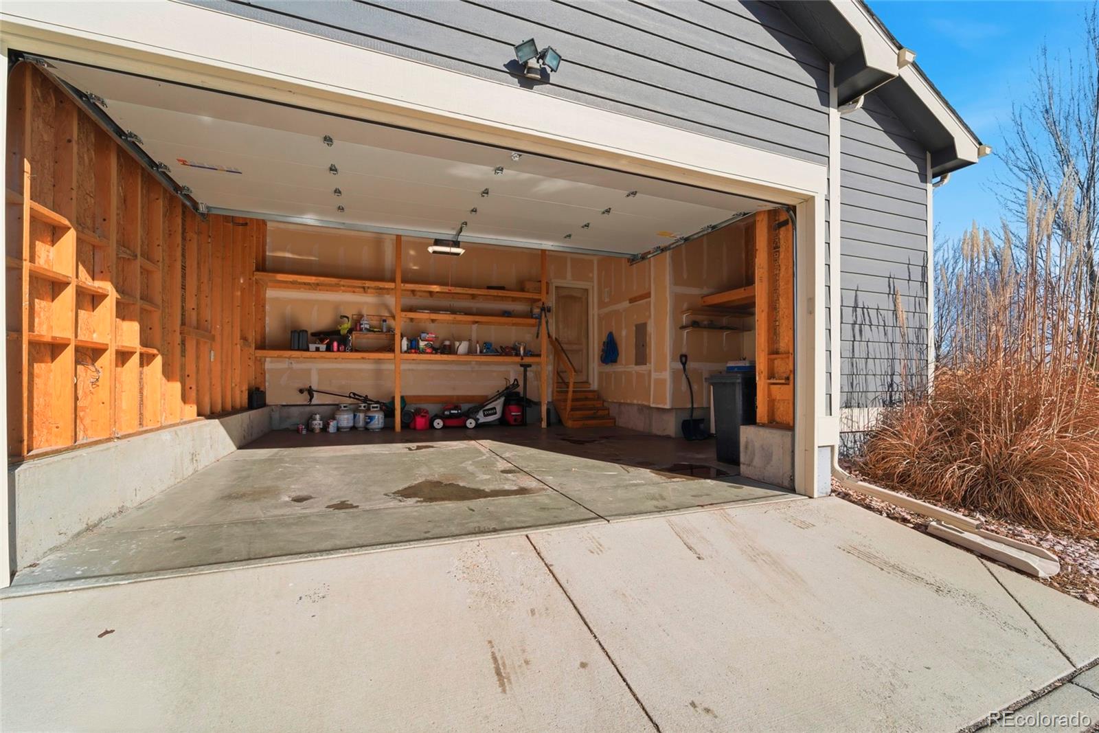 MLS Image #39 for 819  libra court,loveland, Colorado