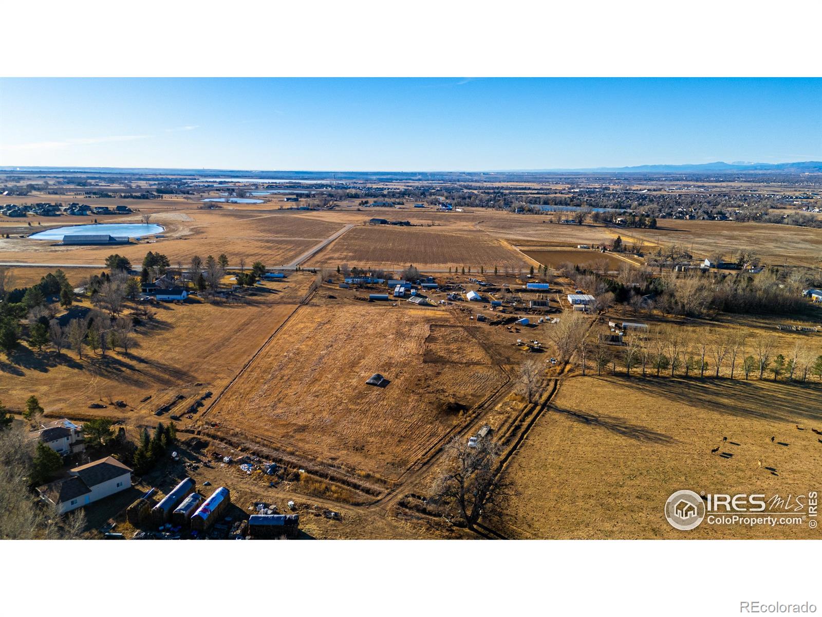 MLS Image #5 for 5324 e county road 48 ,fort collins, Colorado