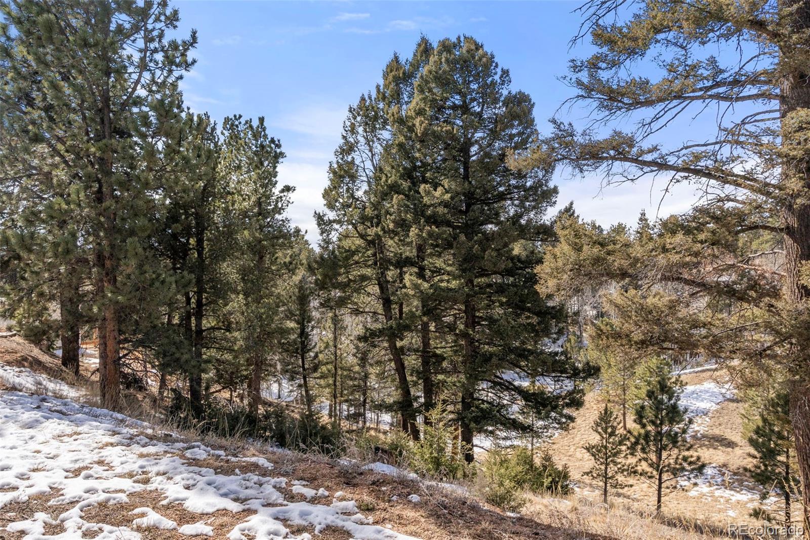 MLS Image #24 for 171  star view trail,divide, Colorado
