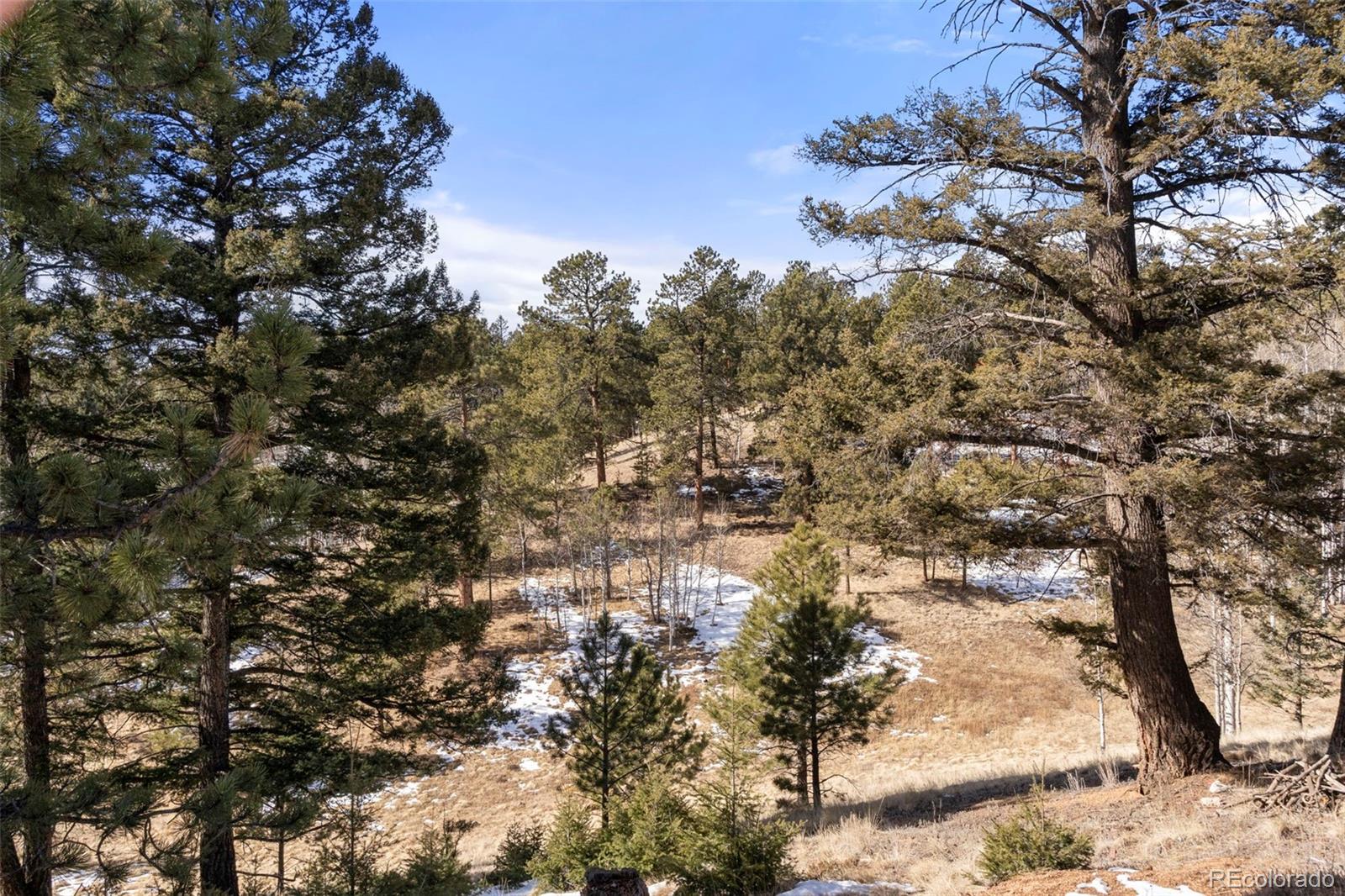 MLS Image #25 for 171  star view trail,divide, Colorado