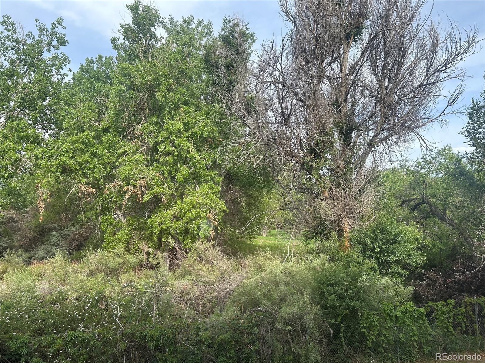 MLS Image #13 for 615 s alton way 12b,denver, Colorado