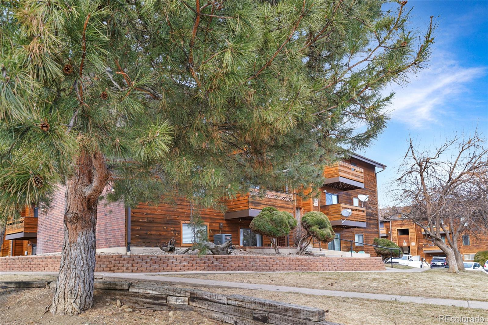 MLS Image #3 for 341  wright street,lakewood, Colorado