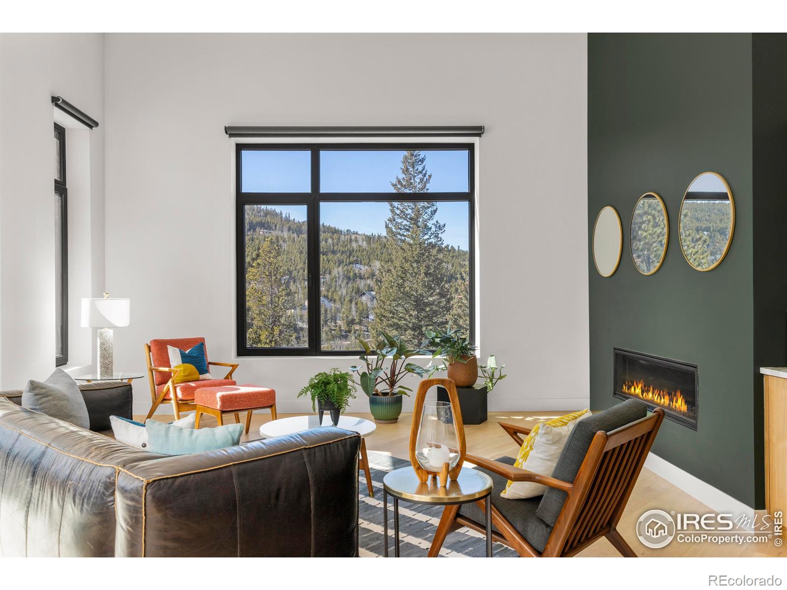 MLS Image #10 for 103 w wildewood drive,nederland, Colorado