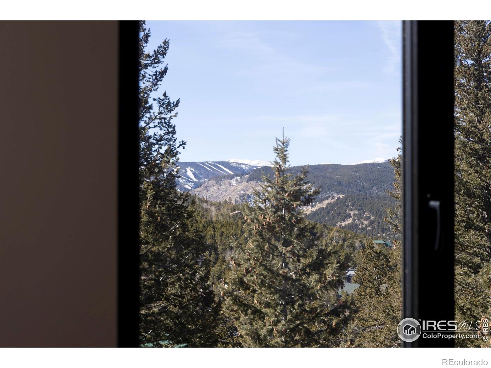 MLS Image #11 for 103 w wildewood drive,nederland, Colorado