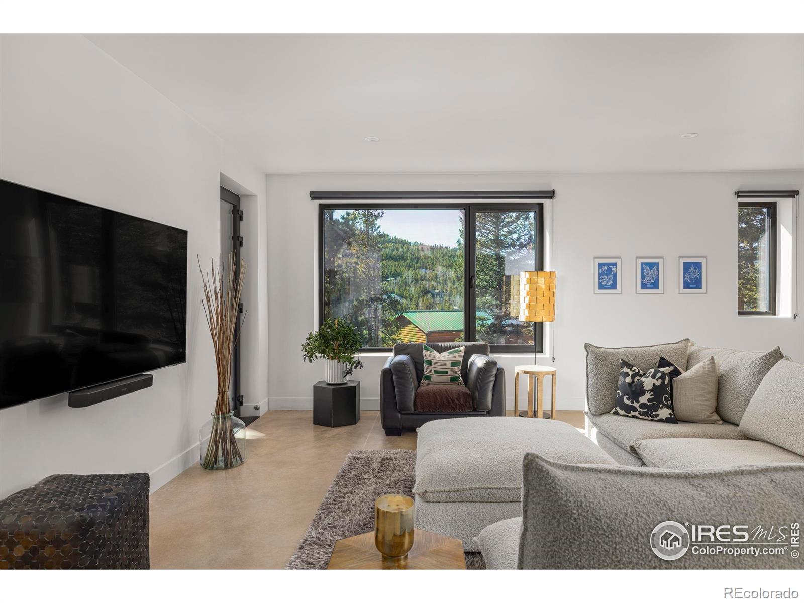 MLS Image #16 for 103 w wildewood drive,nederland, Colorado